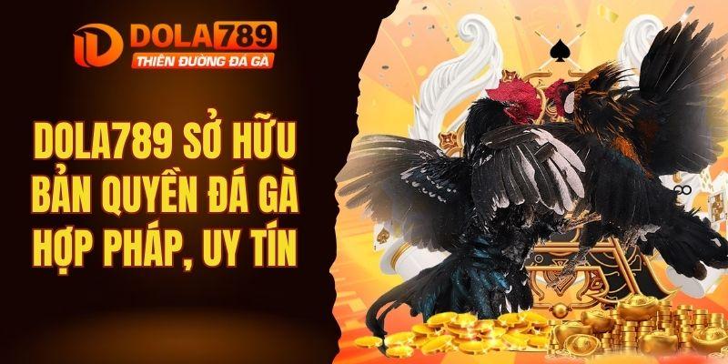 DOLA789 sở hữu bản quyền đá gà hợp pháp, đảm bảo uy tín