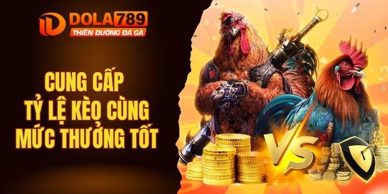 Cung cấp tỷ lệ kèo cùng mức thưởng tốt cho thành viên