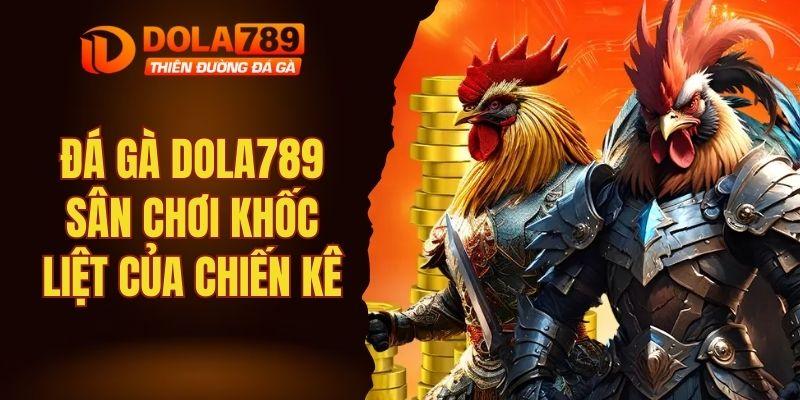 Đá gà DOLA789 - Sân chơi khốc liệt của các chiến kê